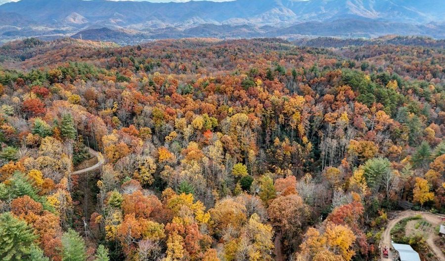 135 49ac Webb Creek Rd, Andrews, NC 28901 - 0 Beds, 0 Bath