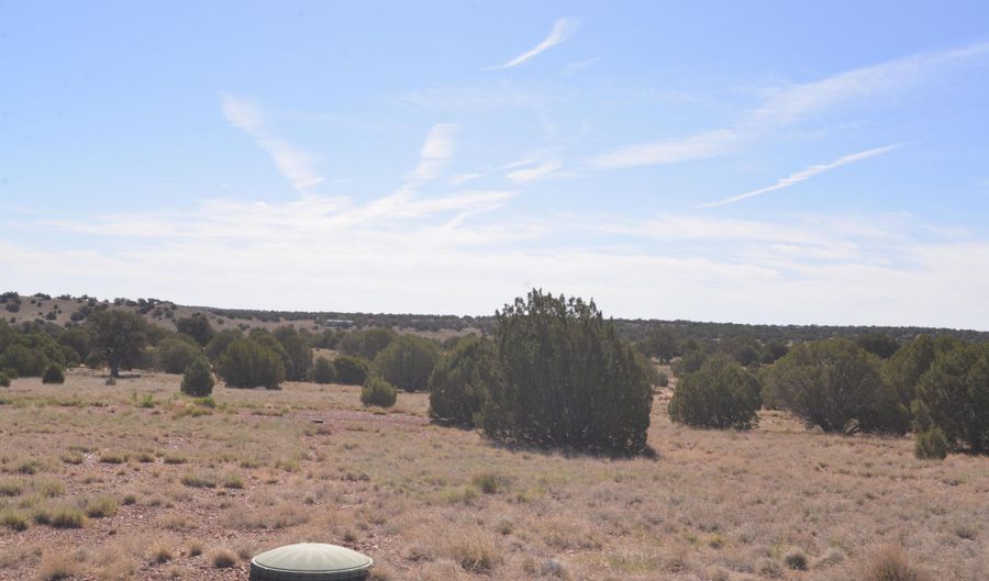 9234 N And 9218 Red Riv, Concho, AZ 85924 - 0 Beds, 0 Bath