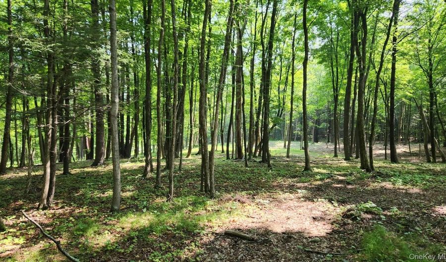 34 Stonykill & Granite Rd, Accord, NY 12404 - 0 Beds, 0 Bath