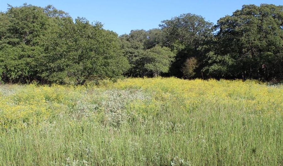 Lot 2 Tbd County Road 2798, Alvord, TX 76225 - 0 Beds, 0 Bath