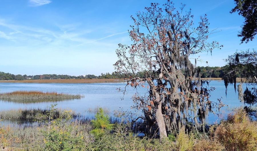 1272 Windswept Oak Ln, Beaufort, SC 29902 - 5 Beds, 3 Bath