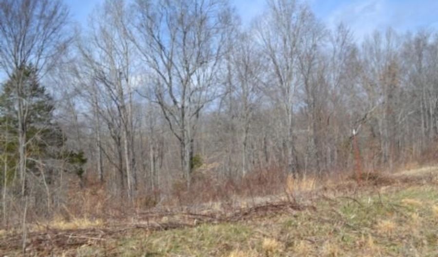 4 13ac Hush Hollow Lane Lot 31-33, Baxter, TN 38544 - 0 Beds, 0 Bath