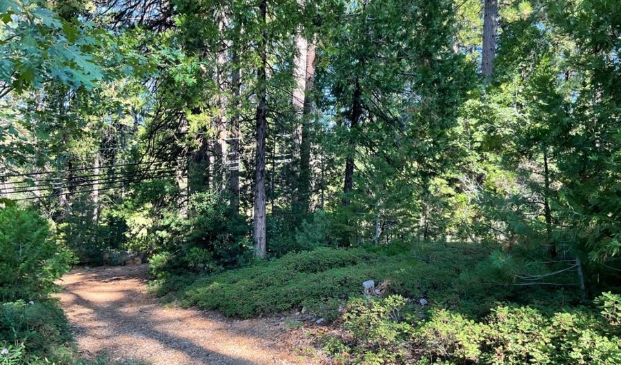 791 Highway 4, Arnold, CA 95223 - 0 Beds, 0 Bath