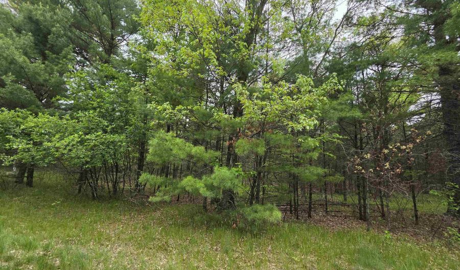 S Badger Lane lot 38, Arkdale, WI 54613 - 0 Beds, 0 Bath