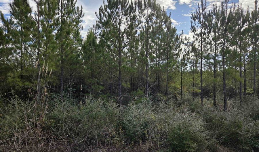NW Church Road, Altha, FL 32421 - 0 Beds, 0 Bath