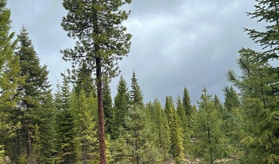 27 Sawtooth Loop Lot 23, Cascade, ID 83611 - 0 Beds, 0 Bath