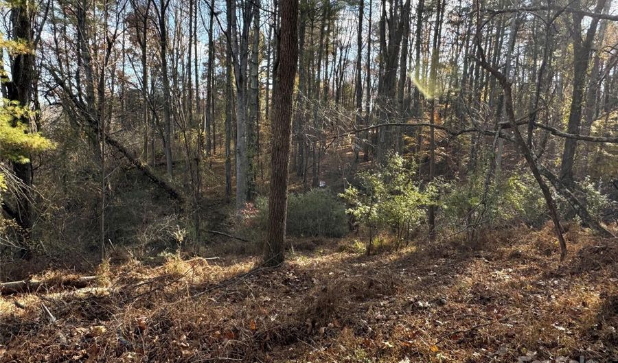 99999 Old Macedonia Rd, Alexander, NC 28701 - 0 Beds, 0 Bath