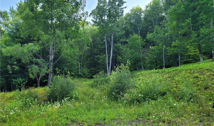 Lot # 19 Brush Hollow Road, Bovina, NY 13740 - 0 Beds, 0 Bath