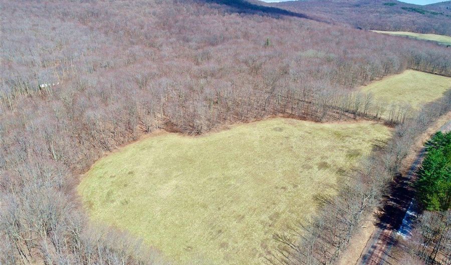 Lot 2 Doig Hollow Road, Andes, NY 13731 - 0 Beds, 0 Bath