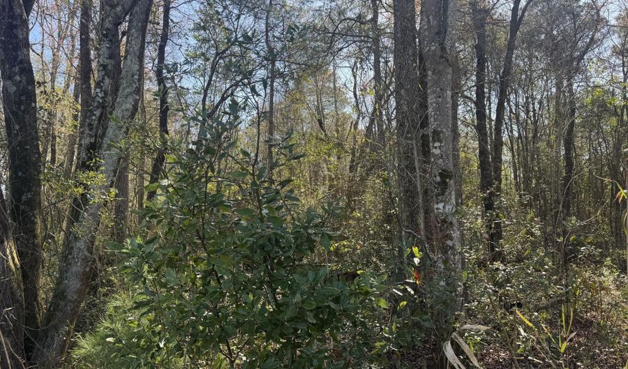 NW Little Prong Rd NW lot 4 And 5, Ash, NC 28420 - 0 Beds, 0 Bath