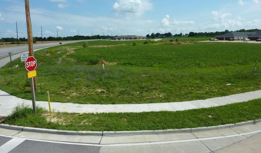 0 Station Xing Lot 11, Waterloo, IL 62298 - 0 Beds, 0 Bath