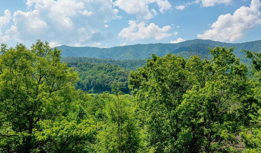 52 Bear Track Rd, Andrews, NC 28901 - 2 Beds, 4 Bath