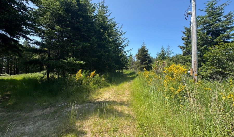 87503 UPPER FOURMILE Ln, Bandon, OR 97411 - 0 Beds, 0 Bath