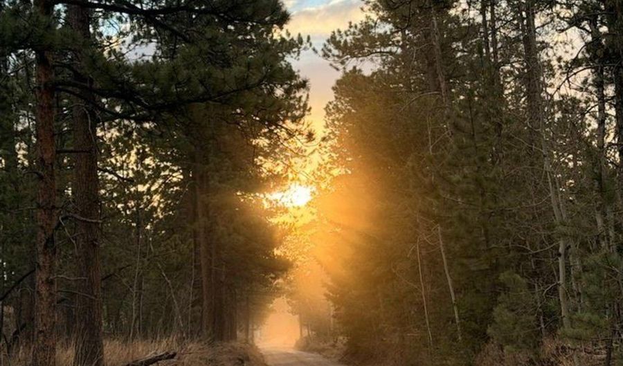 892 Stratton Park Rd, Bellvue, CO 80512 - 3 Beds, 2 Bath