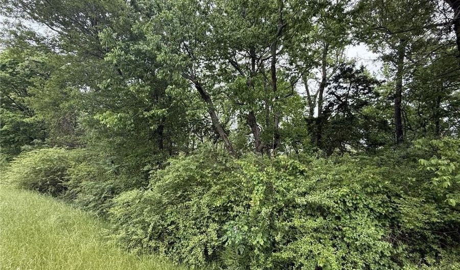 SW 3rd ST, Atkins, AR 72823 - 0 Beds, 0 Bath