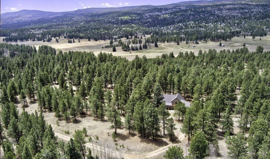 14 Winterwood Ct, Angel Fire, NM 87710 - 3 Beds, 3 Bath
