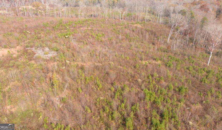 Apple Pie Ridge unit Tract One Tract One, Alto, GA 30510 - 0 Beds, 0 Bath