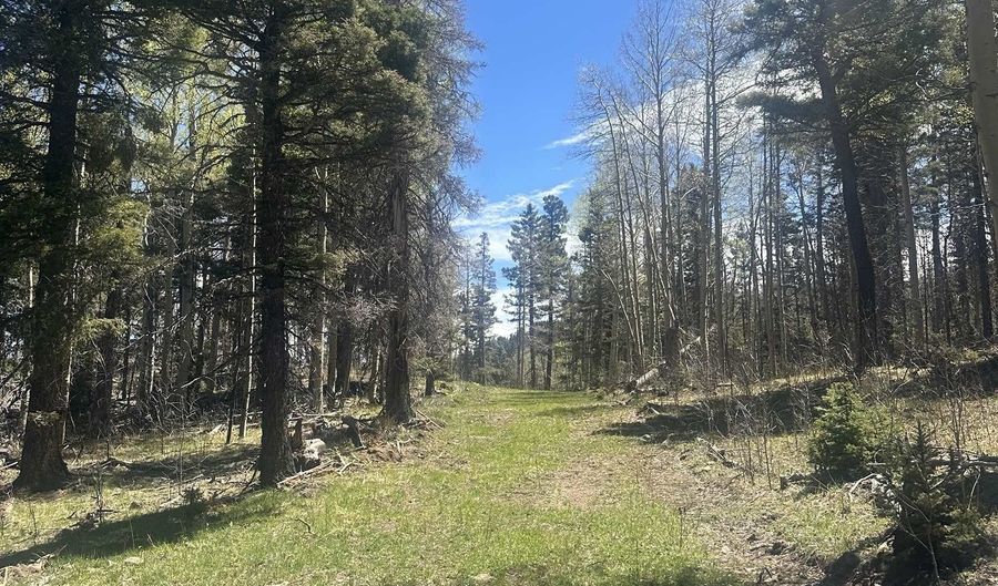 Lot 86 Elk Horn Drive, Angel Fire, NM 87710 - 0 Beds, 0 Bath