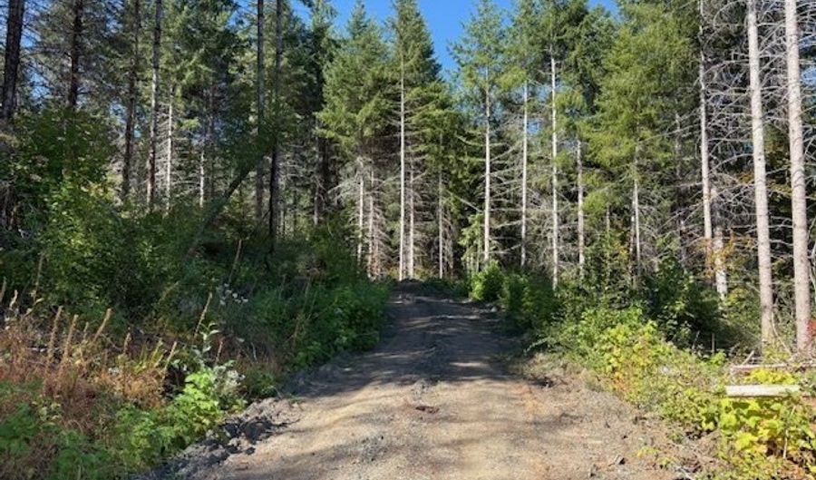 Van Horn 140 Rd, Alsea, OR 97324 - 0 Beds, 0 Bath