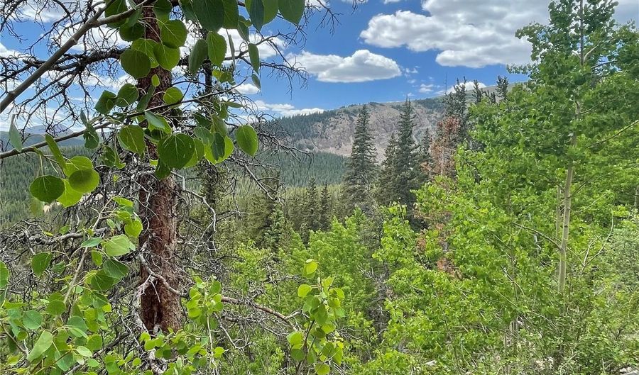 847 County Road 787, Alma, CO 80420 - 0 Beds, 0 Bath