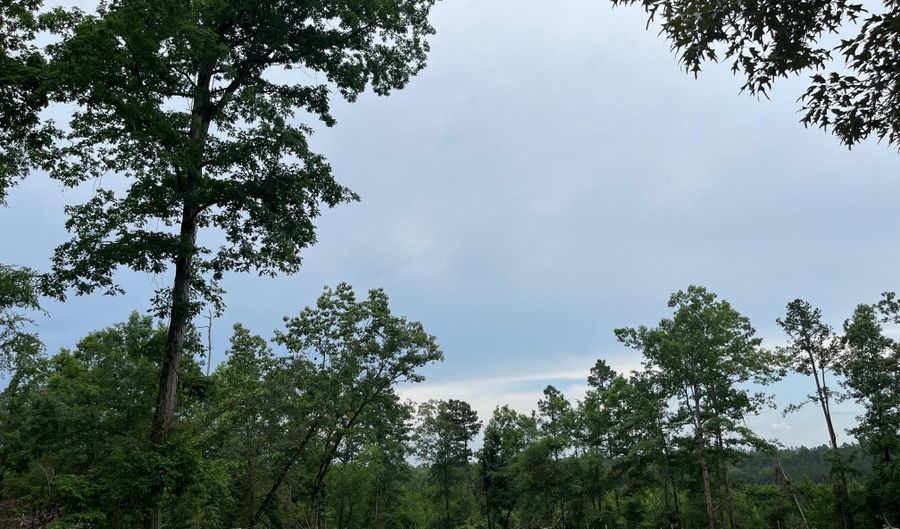 Hwy 84, Amity, AR 71921 - 0 Beds, 0 Bath