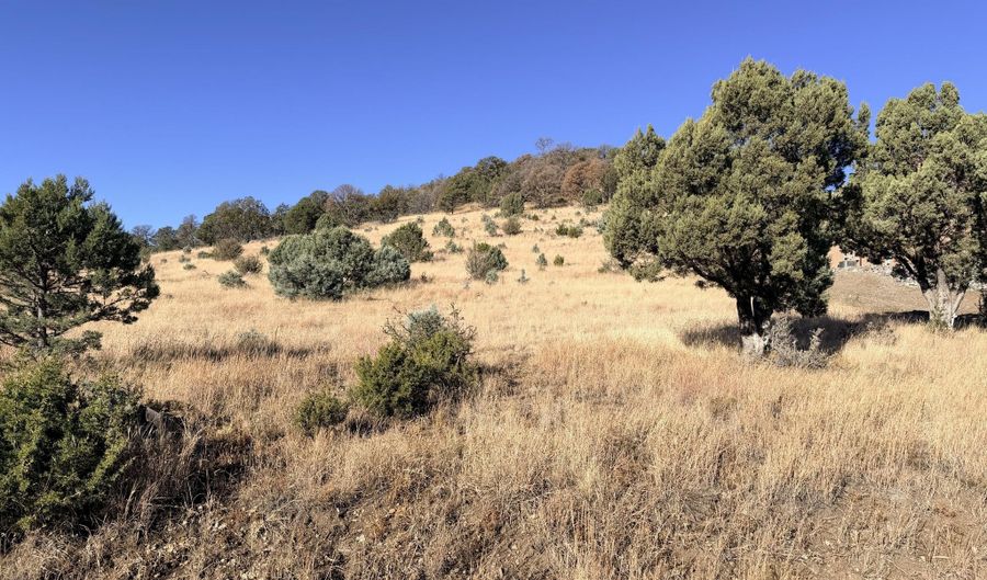 Antler Drive lot 87, Alto, NM 88312 - 0 Beds, 0 Bath