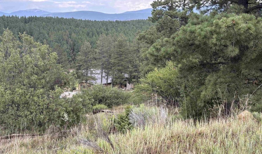 San Mateo Drive lot 1292, Angel Fire, NM 87710 - 0 Beds, 0 Bath