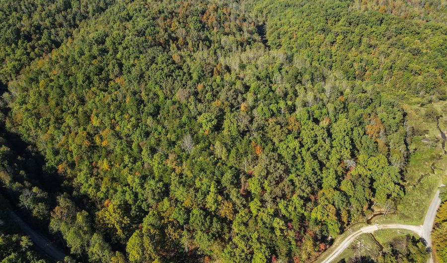 999 HWY 1803 Billies Br, Barbourville, KY 40906 - 0 Beds, 0 Bath