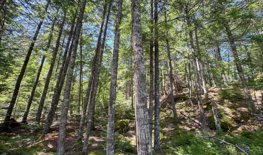 35 SW Brook Ln, Beddington, ME 04622 - 0 Beds, 0 Bath