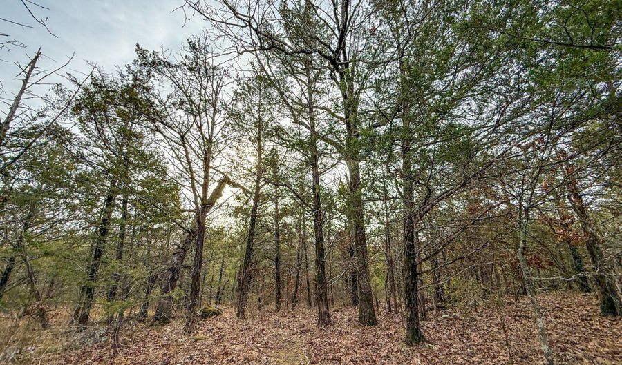 Rocky Pt Loop, Antlers, OK 74523 - 0 Beds, 0 Bath
