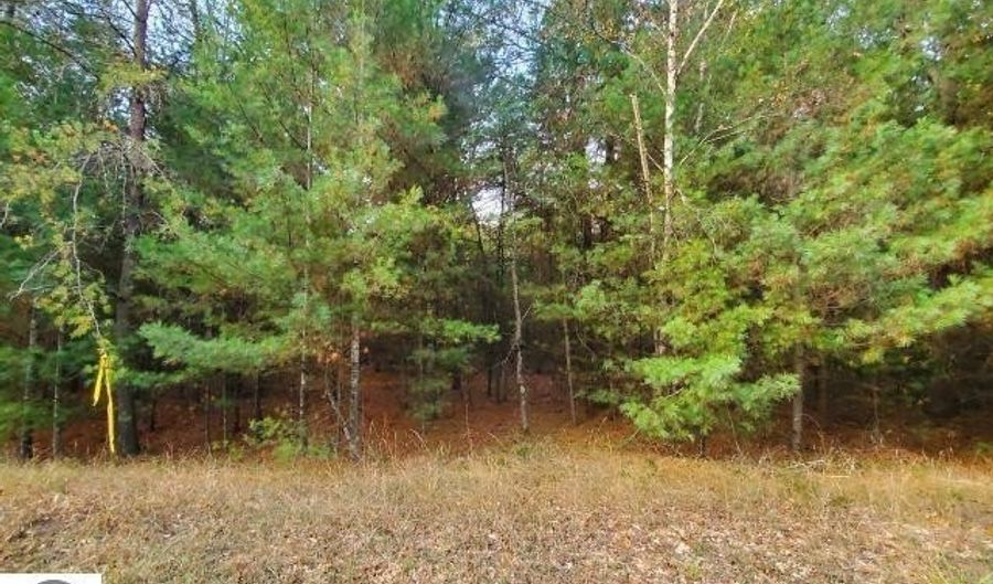 0 Buffalo Trl, Alger, MI 48610 - 0 Beds, 0 Bath