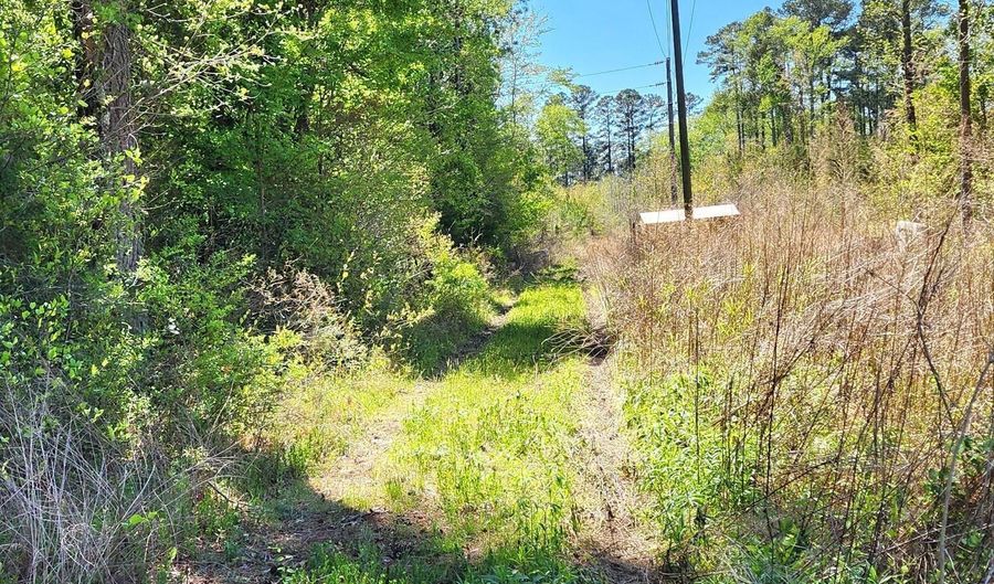 305 Clyde Ave, Aulander, NC 27805 - 0 Beds, 0 Bath