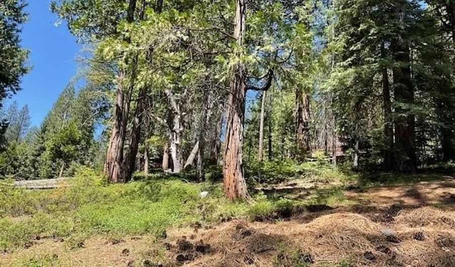 1474 Moran Rd, Arnold, CA 95223 - 0 Beds, 0 Bath