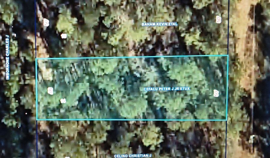 Nhn Sunflower Street lot 14, Bay St. Louis, MS 39520 - 0 Beds, 0 Bath