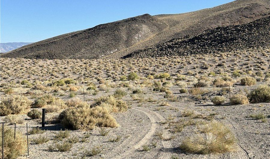 SAND SPRINGS Road, Dyer, NV 89010 - 0 Beds, 0 Bath
