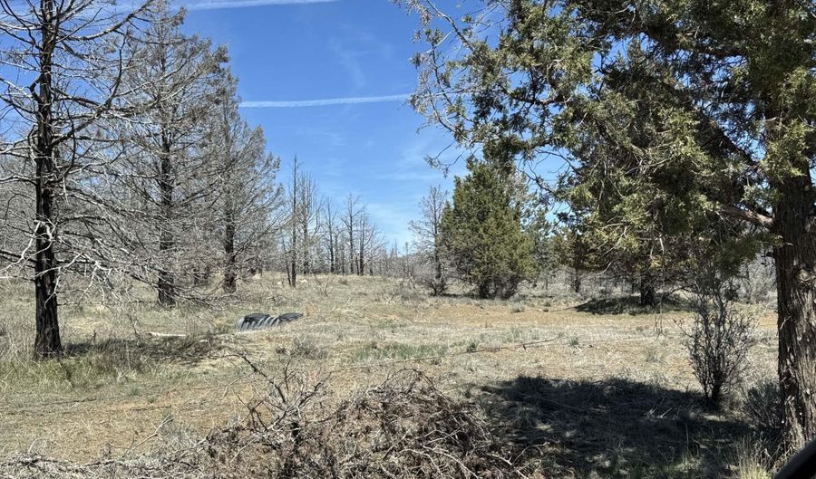 31763 Godowa Springs Rd, Beatty, OR 97621 - 0 Beds, 0 Bath