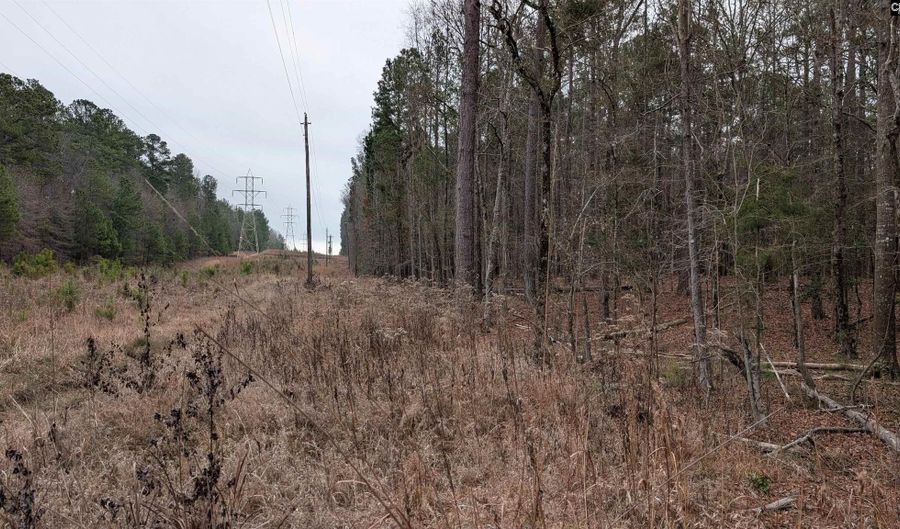 Lots B & C Miller Road, Camden, SC 29020 - 0 Beds, 0 Bath