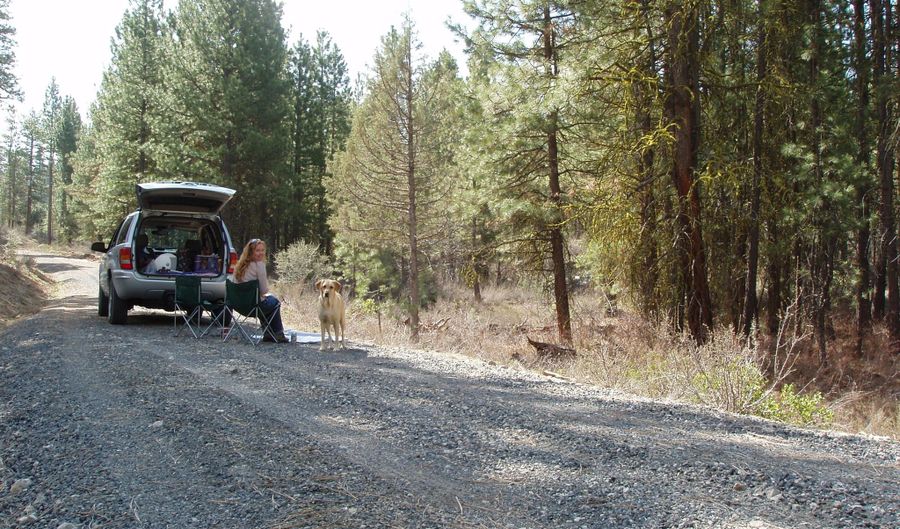 Oriole lot 2 & 3, Bonanza, OR 97623 - 0 Beds, 0 Bath