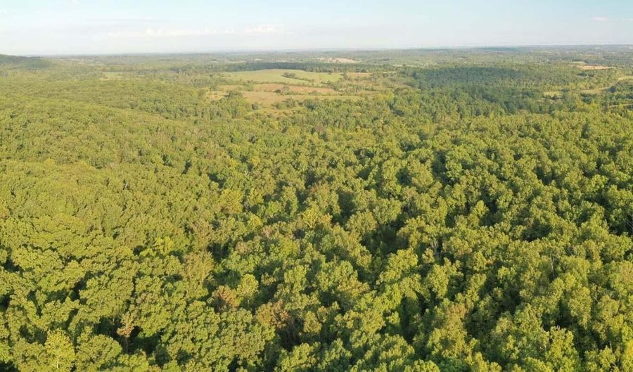 County Road P-305, Ava, MO 65608 - 0 Beds, 0 Bath