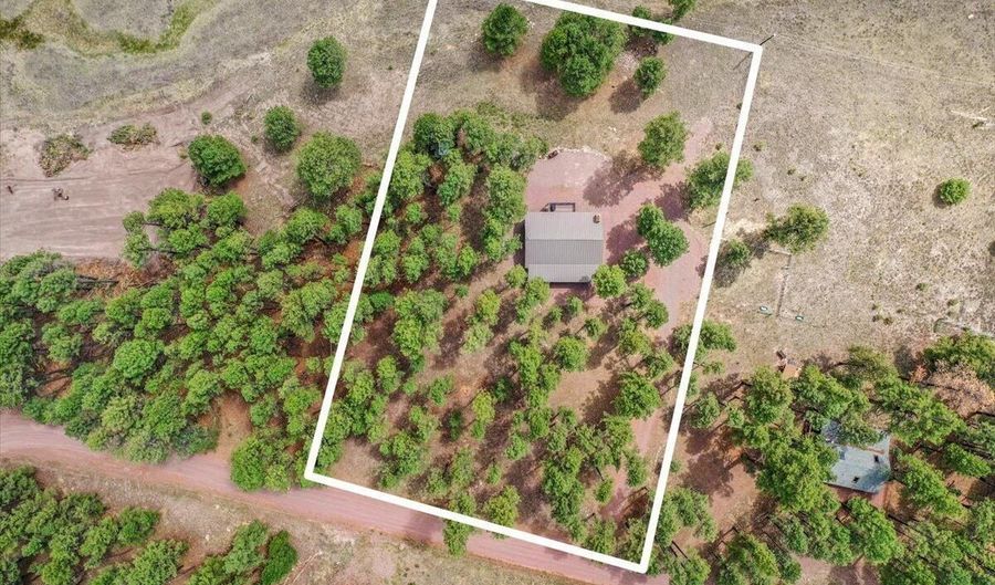 24 County Rd 2079, Alpine, AZ 85920 - 3 Beds, 2 Bath