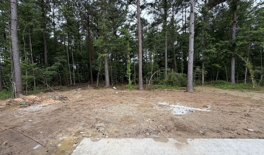 224 New Haven Ln, Brandon, MS 39042 - 4 Beds, 3 Bath