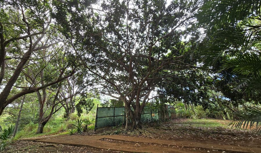 3215- C WAWAE Rd, Kalaheo, HI 96741 - 0 Beds, 0 Bath