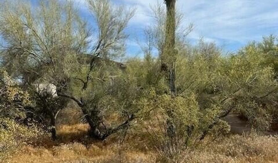 5536 E WOODSTOCK Rd 10, Cave Creek, AZ 85331 - 0 Beds, 0 Bath