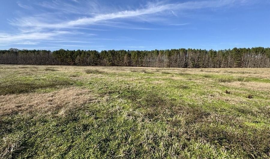 00002 Johnson Line Rd, Bolton, MS 39041 - 0 Beds, 0 Bath