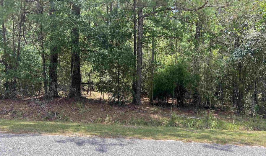 TBD Ervin Road Ervin Rd, Andrews, SC 29510 - 0 Beds, 0 Bath