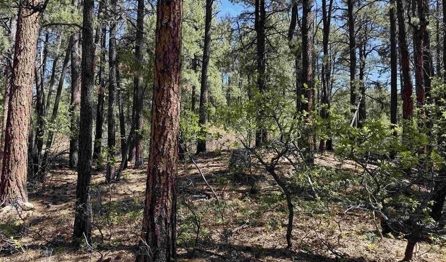 156 Lake View Cir, Bayfield, CO 81122 - 0 Beds, 0 Bath