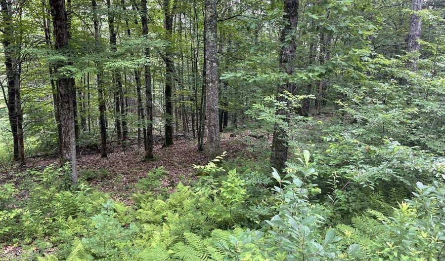 956 N Barnstead Rd, Barnstead, NH 03225 - 0 Beds, 0 Bath