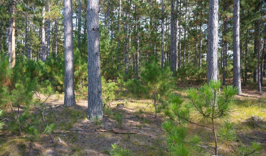 Lot 11 W 16th Court, Arkdale, WI 54613 - 0 Beds, 0 Bath