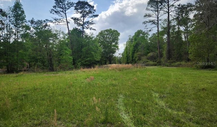 4611 NW 244TH Ave, Alachua, FL 32615 - 0 Beds, 0 Bath