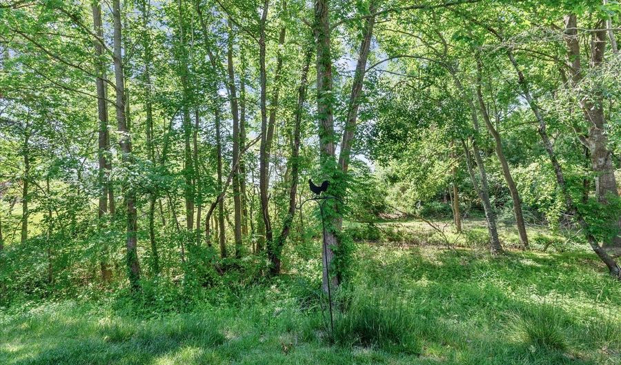 29212 SHADY CREEK Ln, Dagsboro, DE 19939 - 3 Beds, 3 Bath
